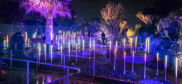 San Diego Botanic Garden - Lightscape 2025